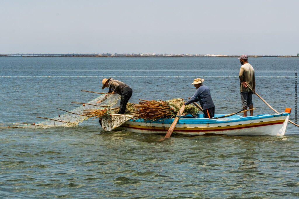 Fishing in Kerkennah