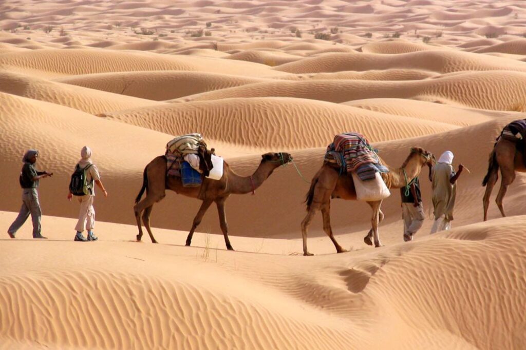 Sahara Camel Trek Tunisia